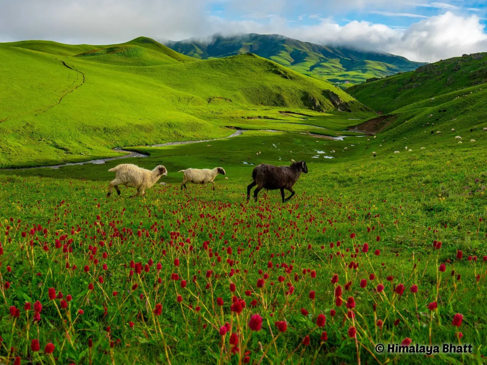 Badimalika Trek